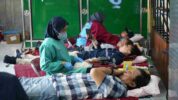 Aksi Sosial PLN UID Sulselrabar, 67 Kantong Darah Terkumpul di Hari Kartini